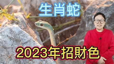 蛇幸運顏色|【屬蛇 顏色】屬蛇之人必知！2024幸運顏色、忌諱指南，助你轉。